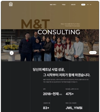 mtconsulting