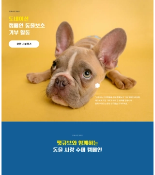 petcube